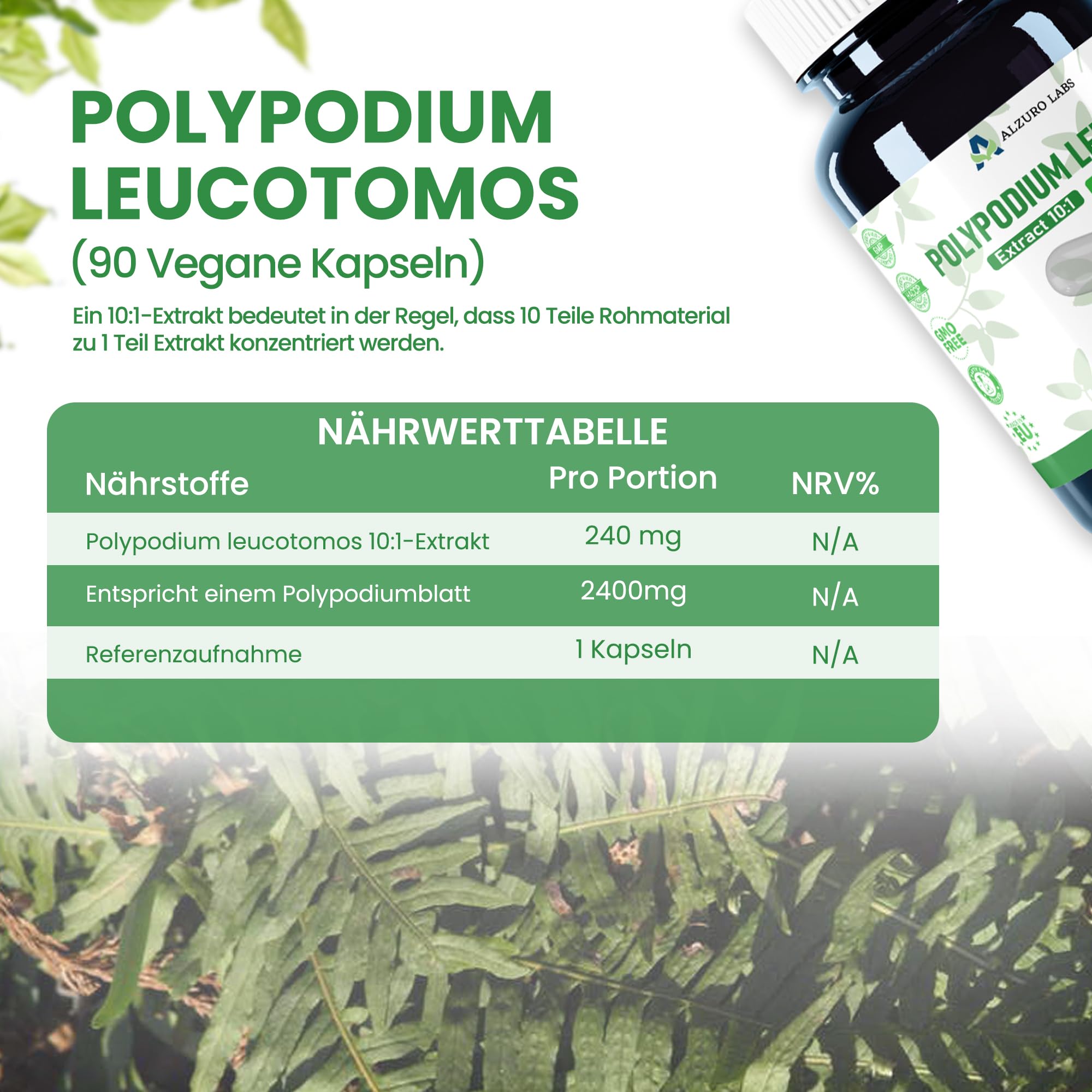 Polypodium leucotomos | 2.400 mg Äquivalent | Hochdosiert 240 mg 10:1 Farn-Extrakt | 90 vegane Kapseln | GMP & Laborgeprüft