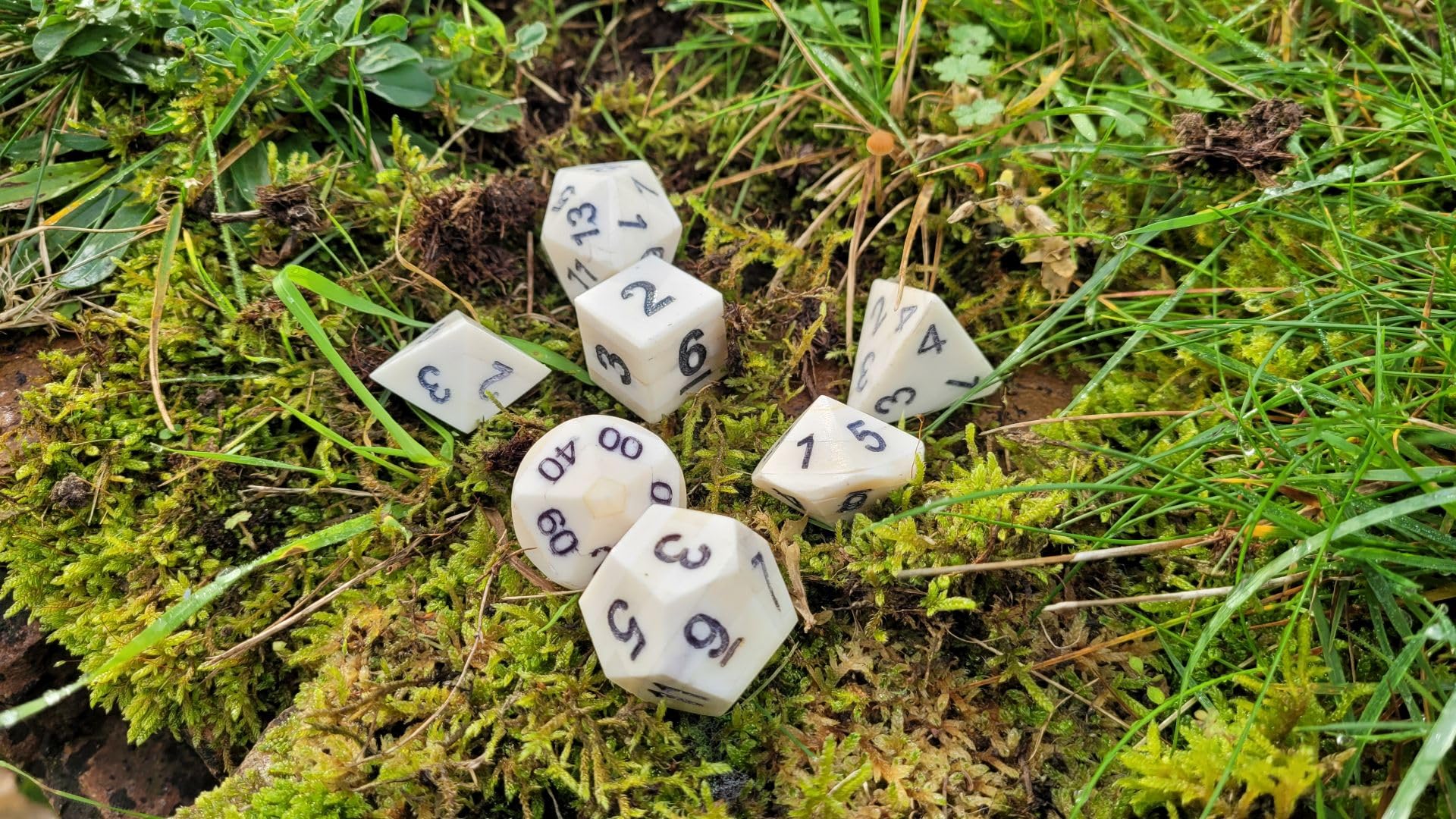 Juego de rol medieval de 7 piezas de hueso hecho a mano, con funda de piel negra, dados W4-W100, números grabados, producto natural (hueso)