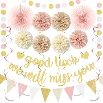 Farewell Party Decorations Women,Good Luck We Will Miss You Banner (Pre-Strung),Pink Gold Going Away Decoration Retirement Goodbye Decor Supplies for Coworker Friends