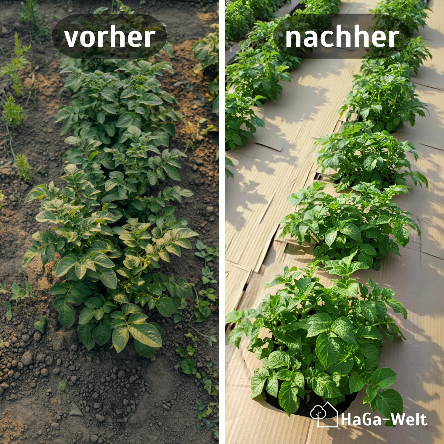 HaGa Schadstofffreie Pappe für Kompostbeete – 0,8 m Breite | 10m Länge – Natürlicher Unkrautschutz ohne Chemie – Umweltfreundliche & kompostierbare Mulch-Wellpappe für Hochbeet Gemüsebeet