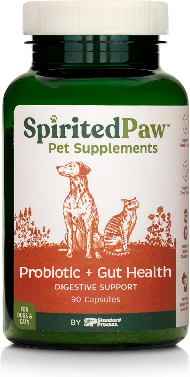 Spirited Paw Probiotic + Gut Health - Digestive & Immune Support for Dogs & Cats - Prebiotic, Probiotic & Postbiotic Pet Care Blend with Organic Buckwheat & Chicory Root Fiber - 90 Capsules