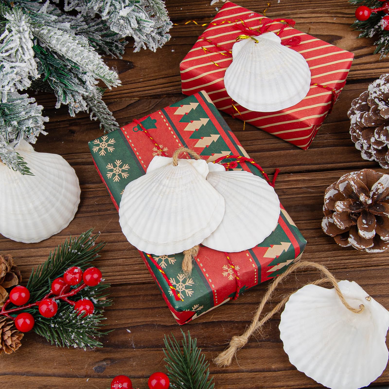 Amazon.co.jp: Sinkoo ハンギングオーナメント ホワイトシェル 天然