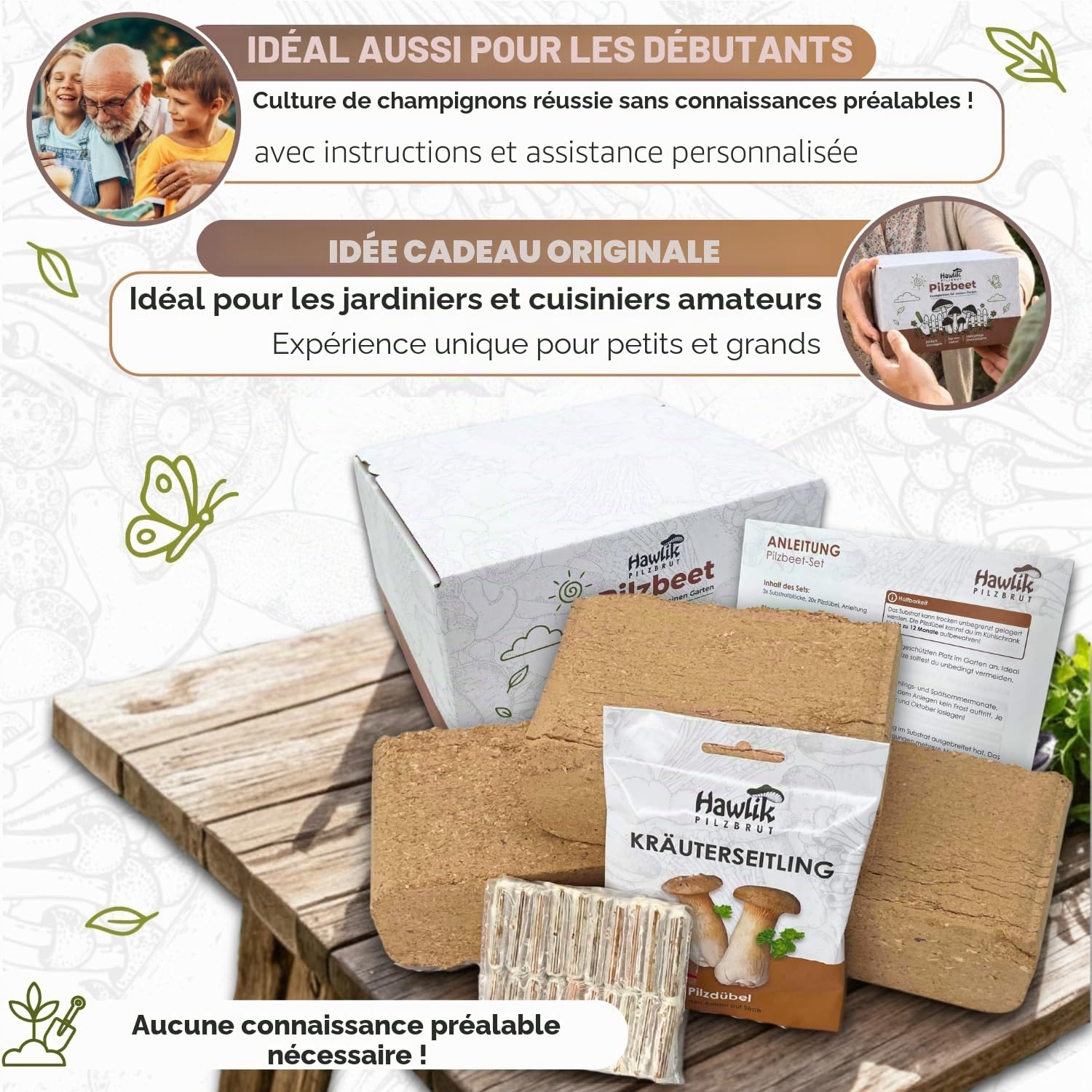 Hawlik Pilzbrut - Kit de champignon pleurote de panicaut - Facile à cultiver soi-même dans votre jardin - kit champignons à faire pousser - idéal pour le jardin