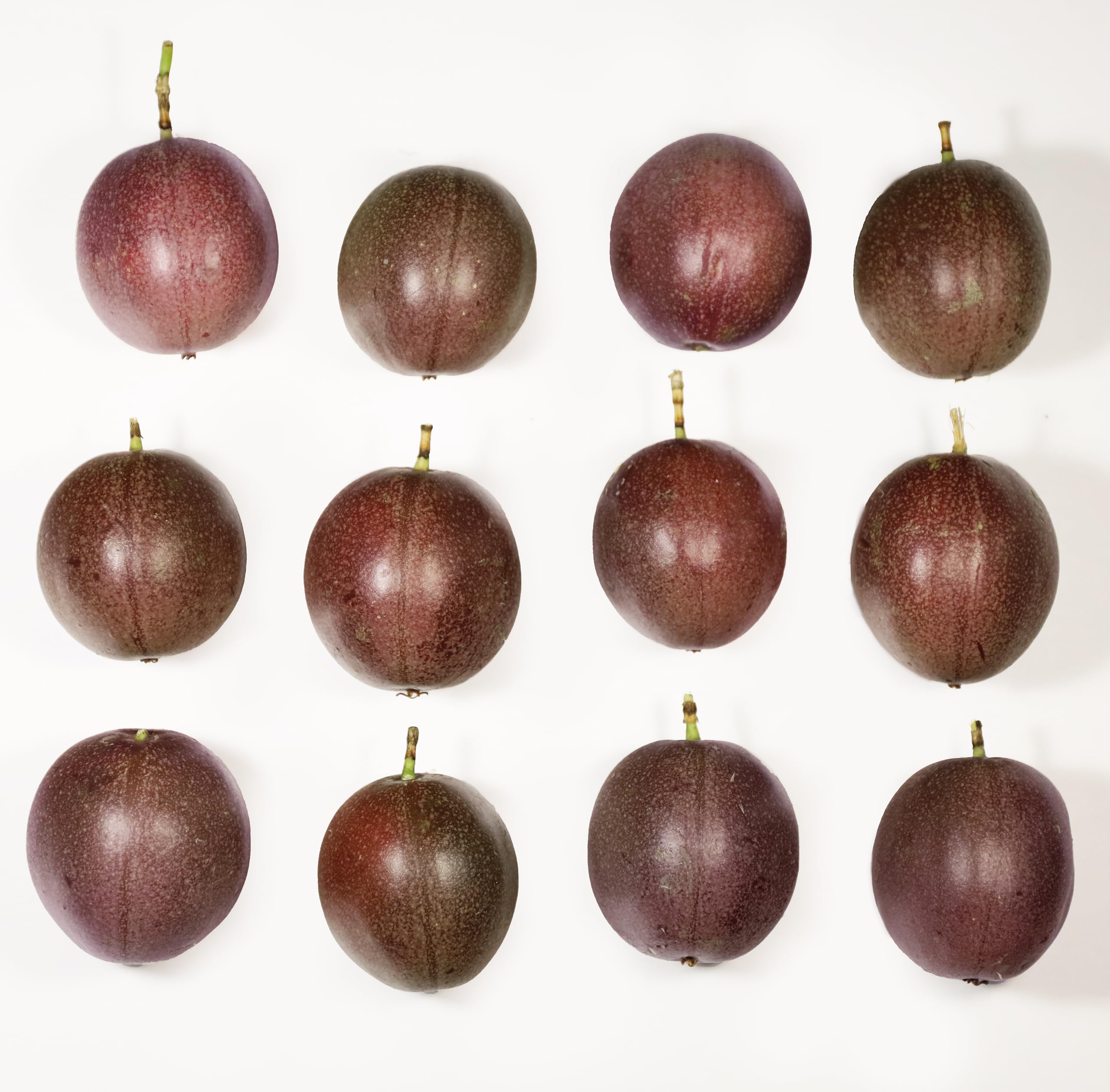 Jumbo Sized Dark Non-Gmo Farm Grown 100% Organic Purple Fresh Ripe Passion Fruit (1 Dozen / 12 Ct)