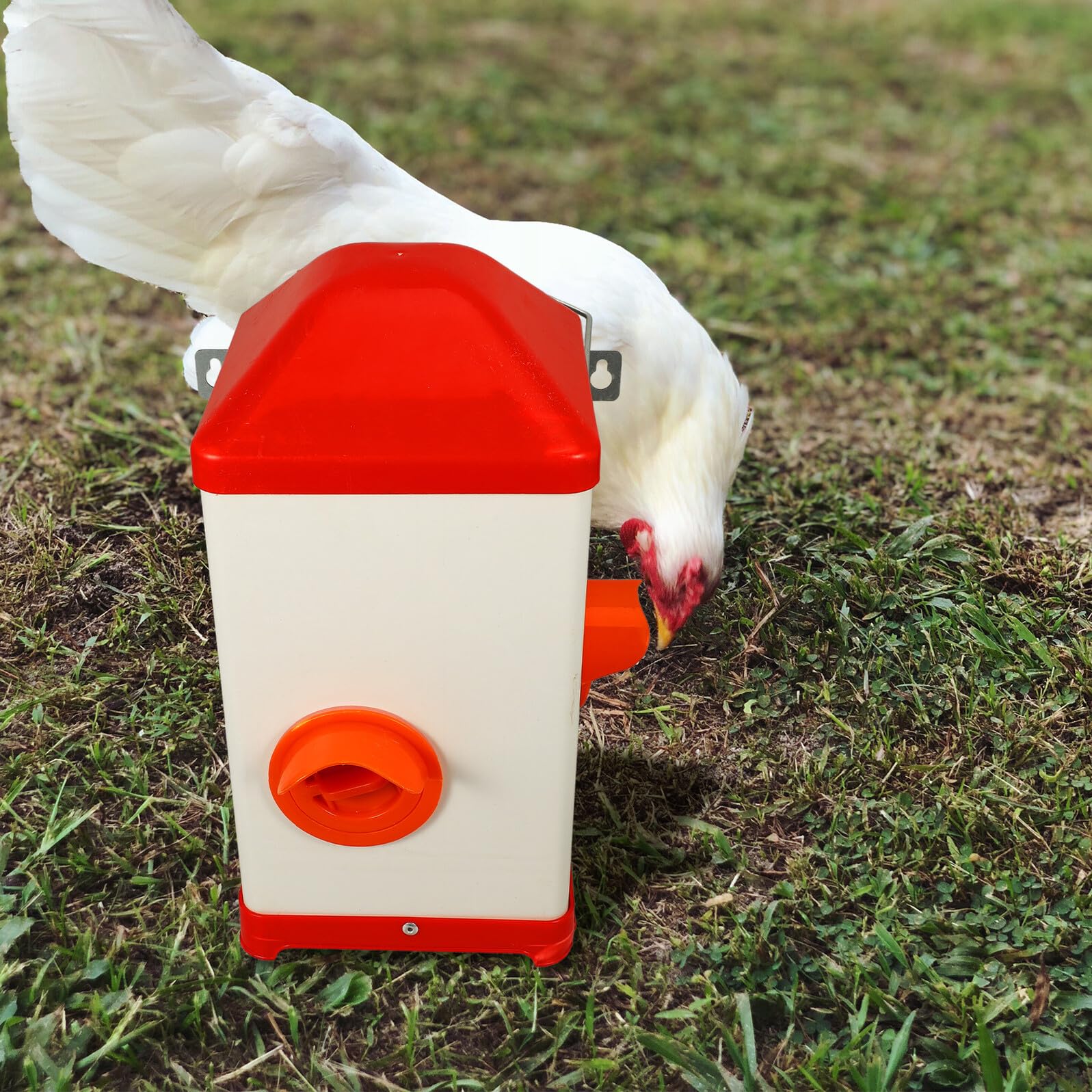 Mangeoire Poule Robuste Plastique Résistante Soleil pour Alimentation Volaille Polyvalente et Facile à Remplir