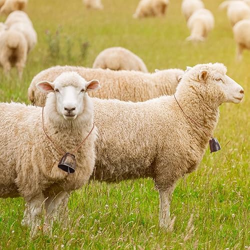 Miniatura 6 de Campanas de cobre de vaca, caballo, oveja, pastoreo, campanas pequeñas de latón, ganado, granja, campanas de bronce ruidosas, campanas de hierro de