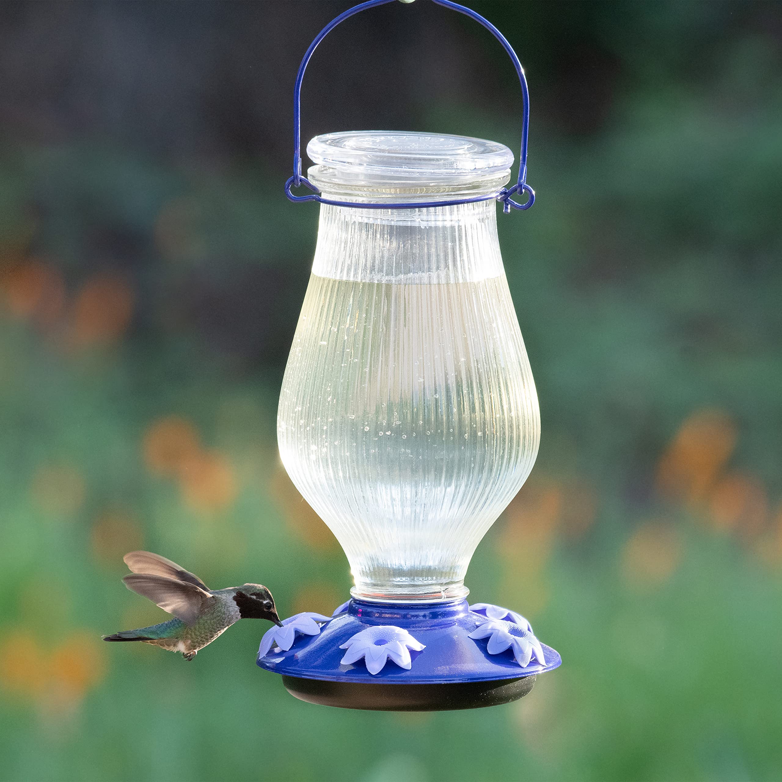 Perky-Pet 9107-2 Grand Oasis Top-Fill Glass Hummingbird Feeder Purple 38 oz Capacity