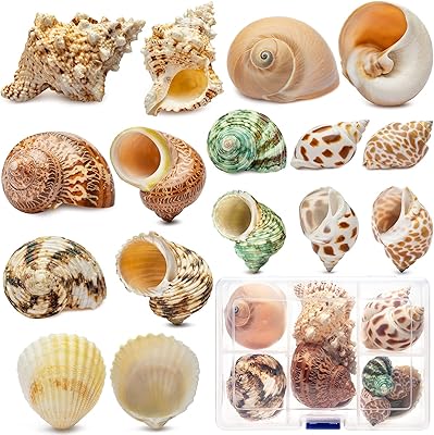 Deauepu® Natural Hermit Crab Shells 16PCS (8 Types) | Opening Size: 0.5"-1.6", Seashell Size: 1.5"-3.5" | Good for Tiny-La...