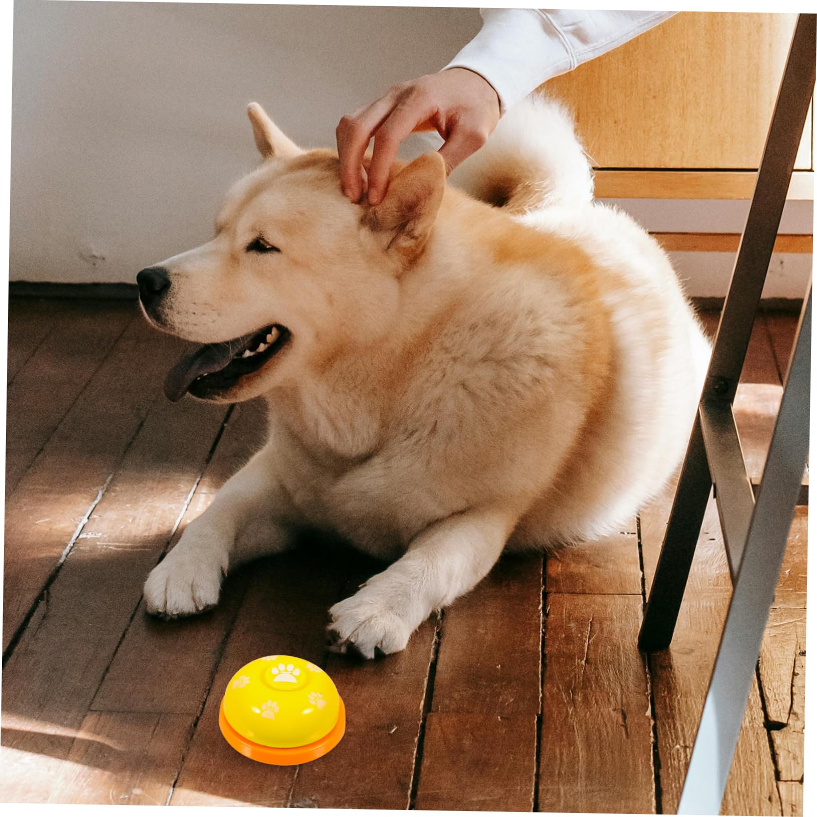 Levemolo 4pcs Pet Training Bell Training Bells for Pet Dog Interactive Pet Bells Pet Doorbells for for Dogs Cat Press Bell Dog Doorbell Pet Training Press Bell Dog Bell