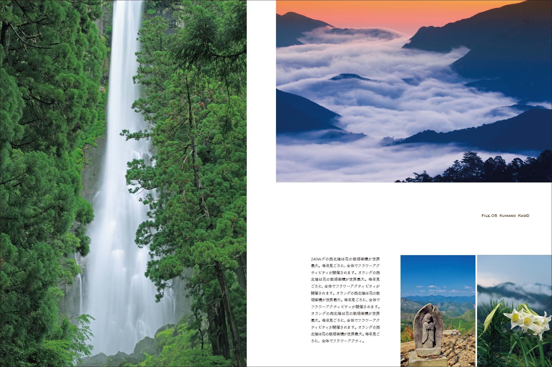 世界で一番美しい森への旅 配送料無料