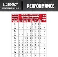 Vista 7 de Red Lion RL12G10-2W2V Bomba sumergible de pozo profundo de 4 pulgadas, 1 HP, 12 GPM, 2 cables, 230 voltios, acero, 14942404