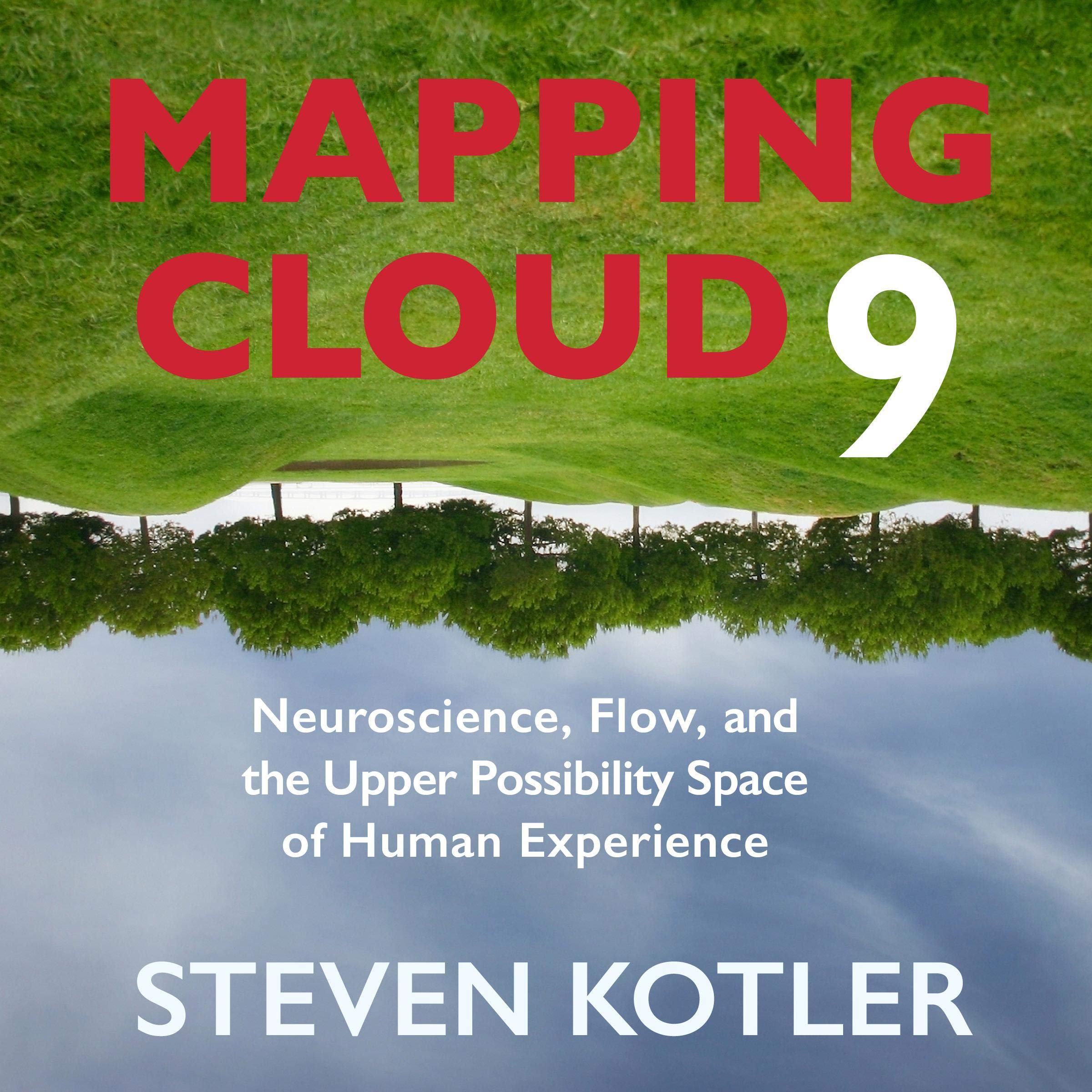 Mapping Cloud Nine: Neuroscience, Flow, and the Upper Possibility Space of Human Experience