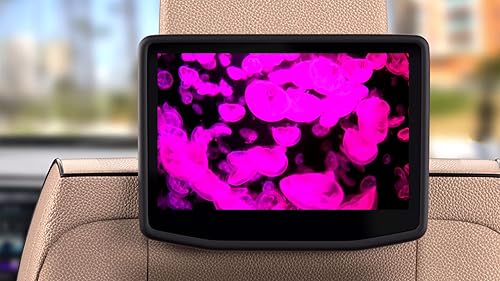 JellyMystique: Explore as maravilhas das profundezas com 4K Tranquil Jellyfish Ambiance para relaxam