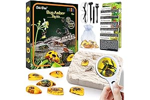 GobiDex Amber Dig Kit: Unearth Real Bugs in Artificial Resin