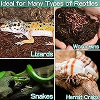 Vista 7 de Halatool Paquete de 2 Sustrato de Fibra de Coco Orgánico para Reptiles, Sustrato Premium para Gecko Leopardo, Lecho de Terrario de Cáscara de Coco