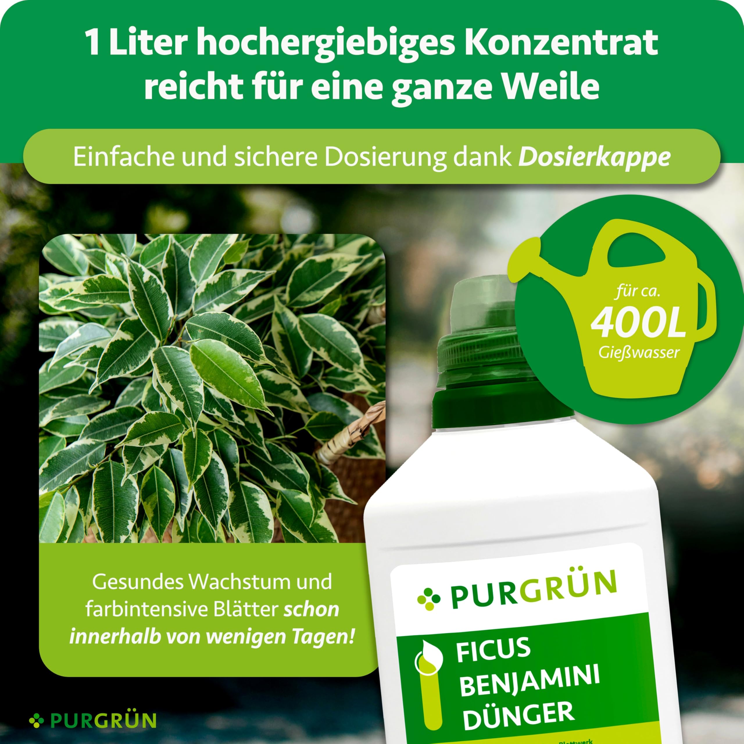 Ficus-Benjamini-Dünger 1 Liter – Stickstoff und Guano für gesundes Wachstum – Spurennährstoffe für eine lebendige Blattfärbung – Ergiebiges Konzentrat für ca. 400 Liter Gießwasser