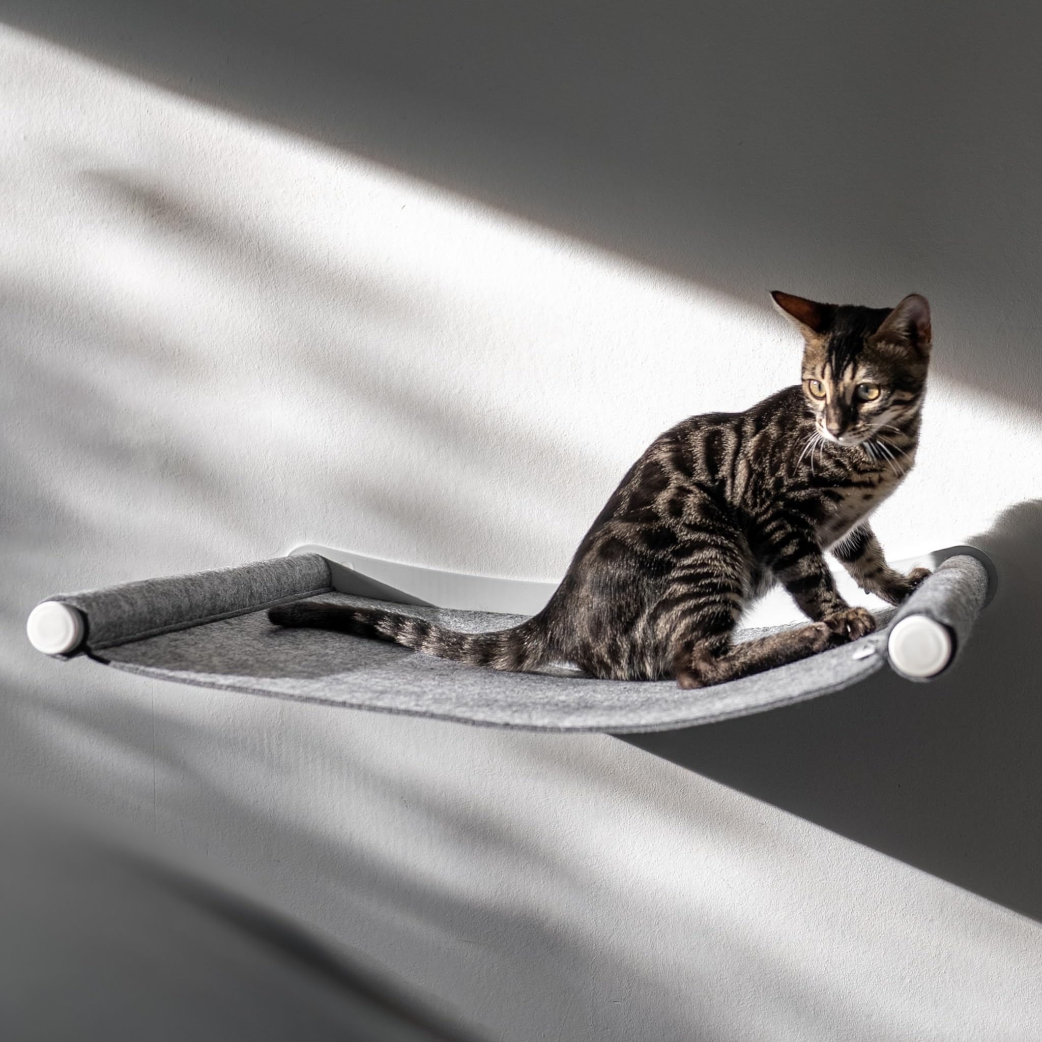AZANO Amaca per gatti XL, in metallo, design da arrampicata a parete per gatti, extra grande e stabile, colore grigio