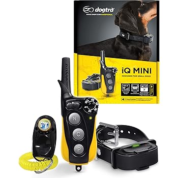 iq dog collar