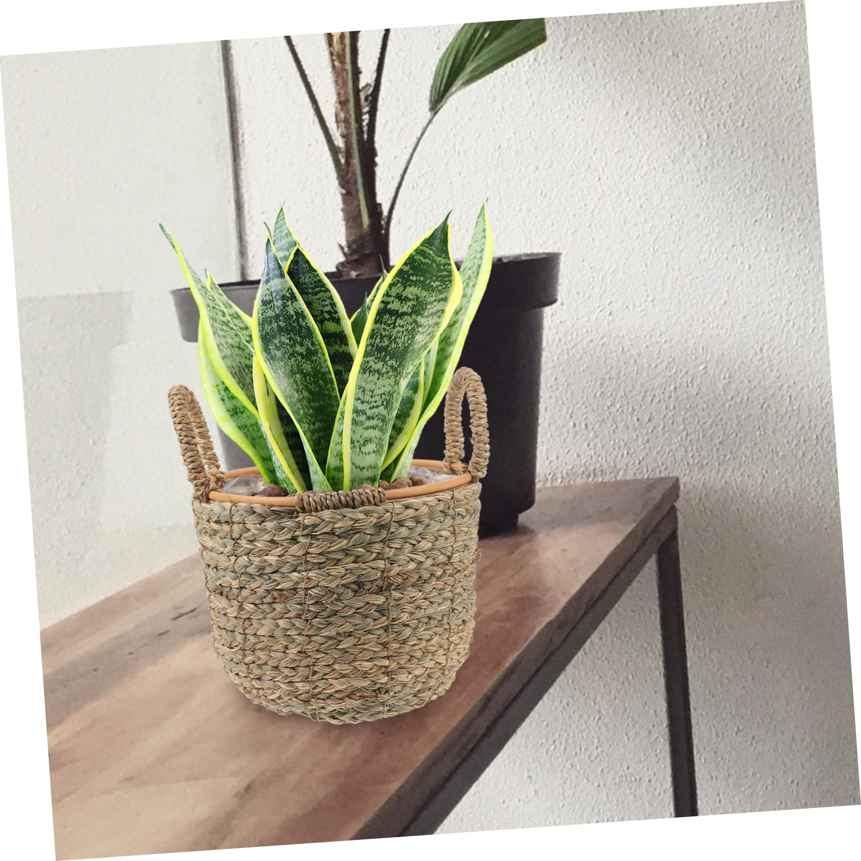 MAGICLULU Cestini Decorativi Per Piante Cestino Portaoggetti in Paglia Intrecciata Piccolo Manico Decorazione Multiuso Per La Casa