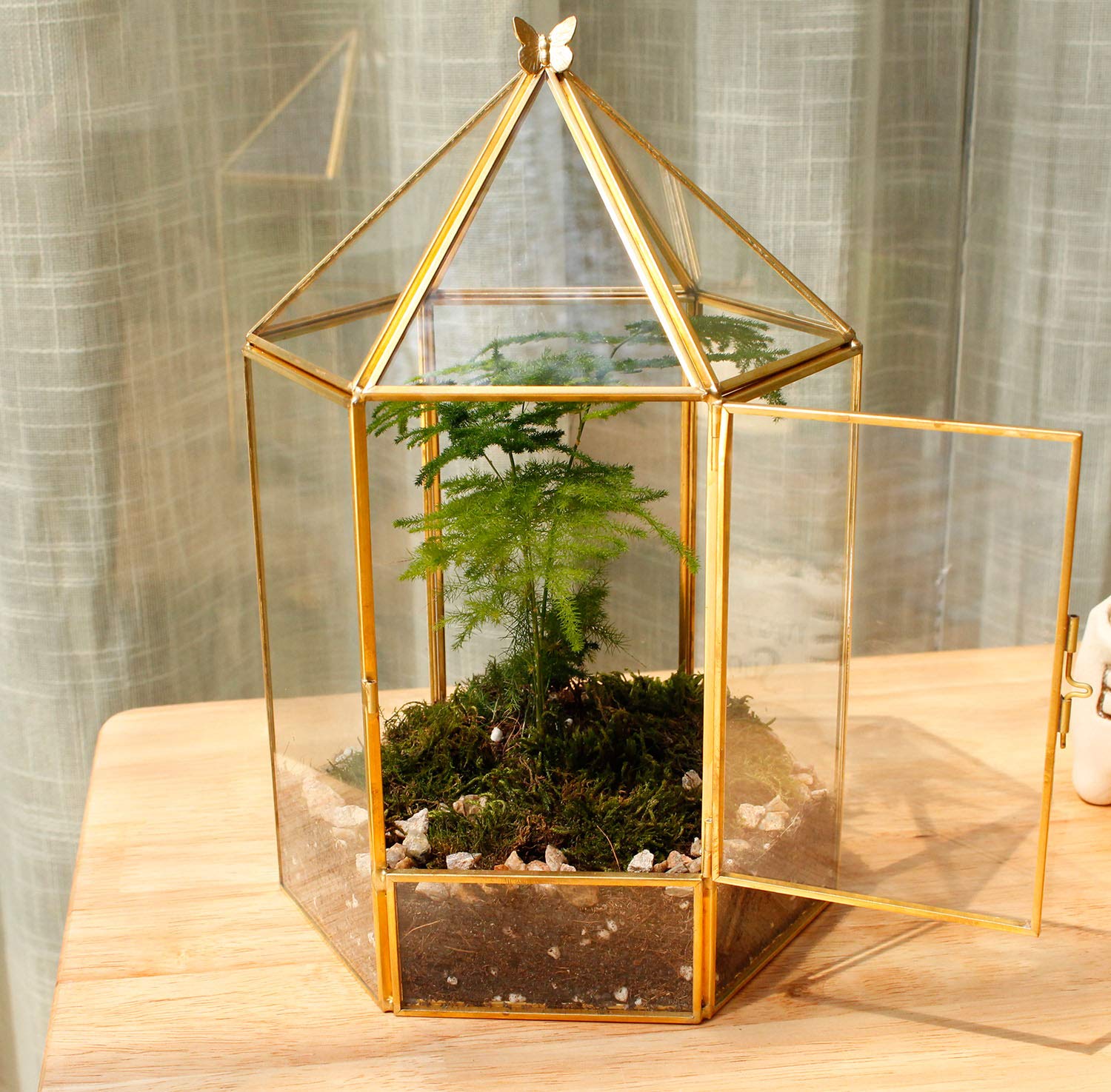 ELEGANTLIFE Terrario geometrico in vetro per piante, piante grasse e aeree, decorazione per casa, giardino, ufficio, senza piante (oro esagonale)