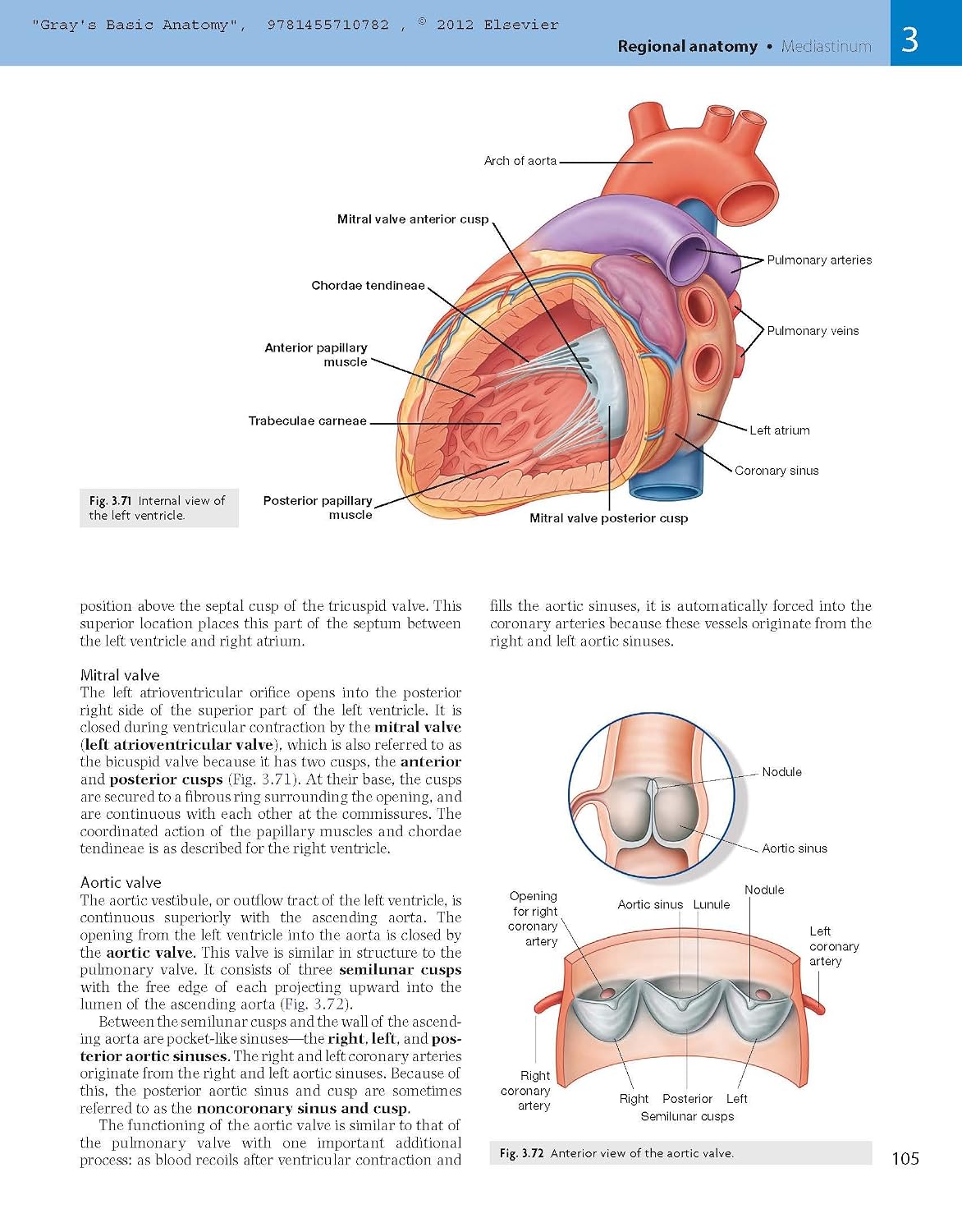 Gray's Basic Anatomy with Student Consult