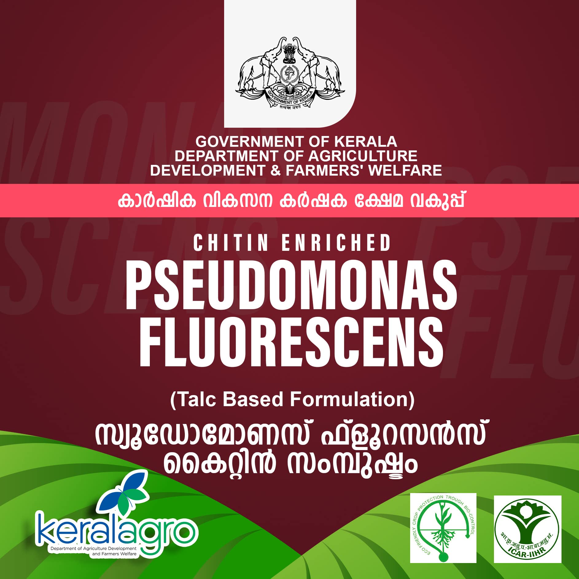 keralagro Chitin enriched Pseudomonas fluorescens Pack of 2 (250Gram each) (B0BZMX41R5) Amazon Price History, Amazon Price Tracker