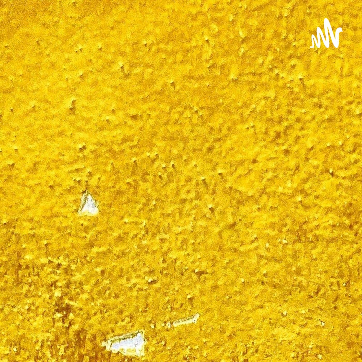 然后，爱情随遇而安