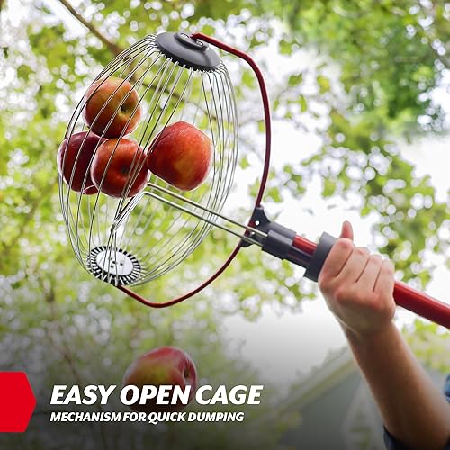 Miniatura 6 de GARDEN WEASEL Rodillo recolector de nueces grande Herramienta colectora de nueces para nueces, pelotas de goma de mascar dulce, pelotas de tenis y