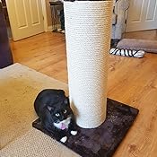 Ancol fat boy cat scratcher Clearance