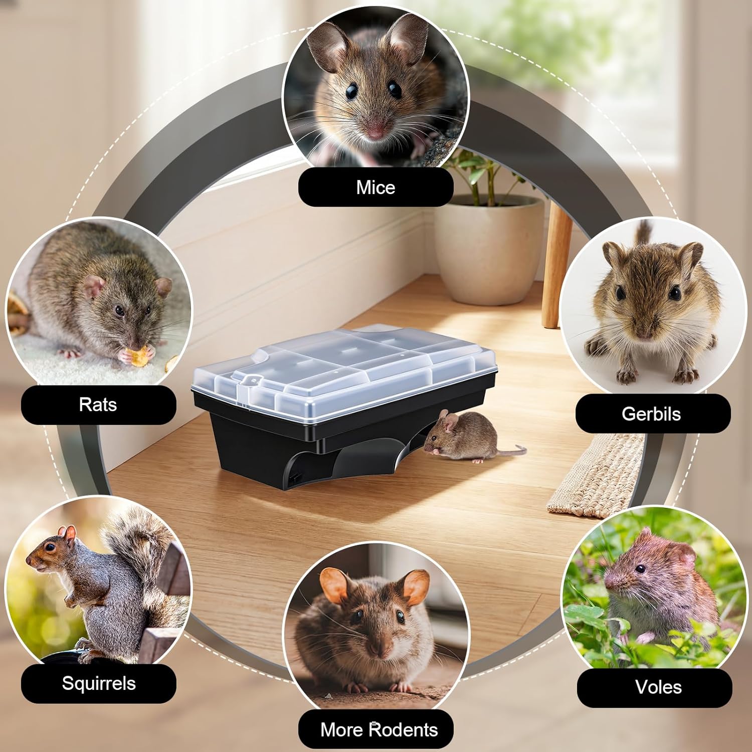 6 Pack Rat Bait Stations with Key Reusable Mouse Stations Mice Blocks Heavy Duty Boxes for Outdoor Rodents Mice Blocks, Bait Not Included (Transparent Lid,Black)