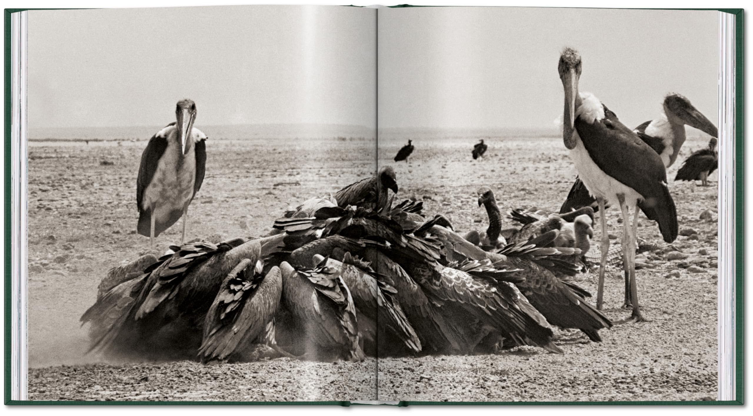 Peter Beard: The End of the Game