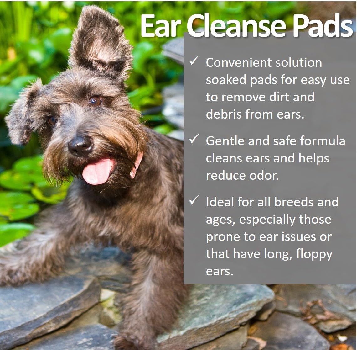Vet Worthy Ear Cleanse Pads Dog Ear Cleaner Wipes to Remove Wax, Odor