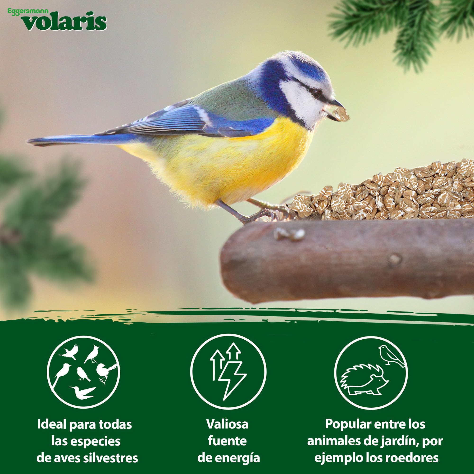Eggersmann volaris Copos de Trigo de 2 kg – Alimento nutritivo para Aves Silvestres – Trigo Natural Ideal como alimento para Aves, Pollos y roedores – Alimento para Aves Silvestres Todo el año y Rico | Alimento nutritivo para aves silvestres – Trigo natur