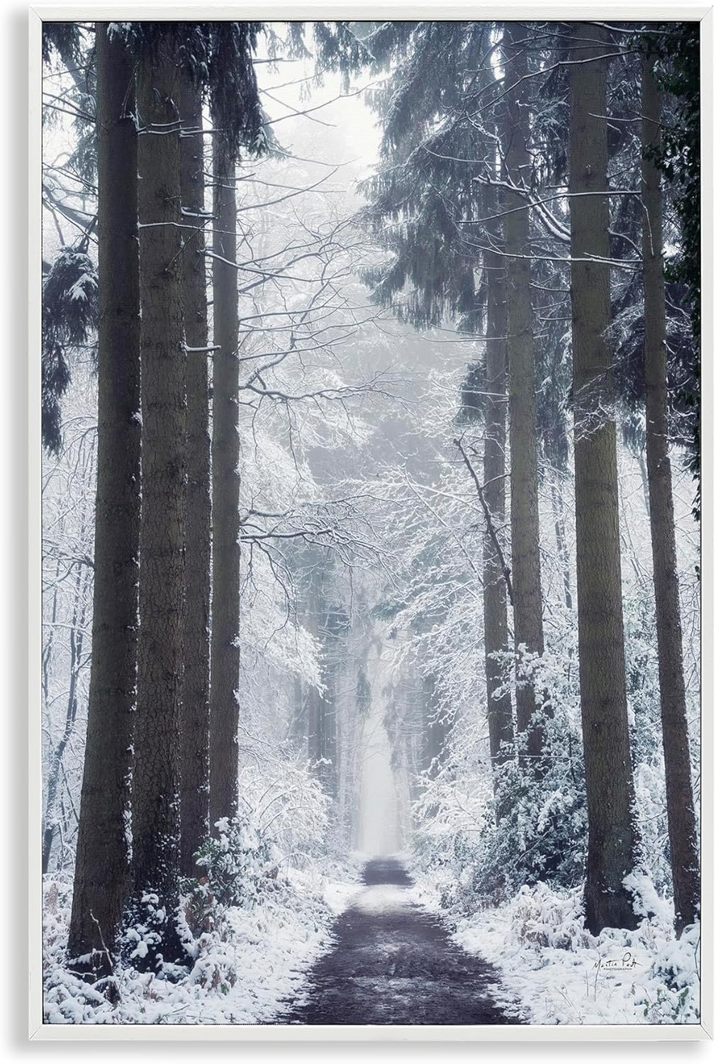 Stupell Industries Winter Fir Path Framed Giclee Art Design by Martin Podt