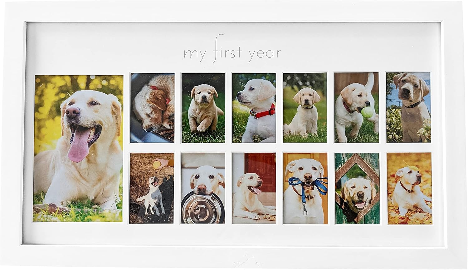 Green Pollywog - Extra-Large Clean Touch Inkless Ink Pad for Pets & My First Year Picture Frame for Dogs | 12 Month Photo Frame