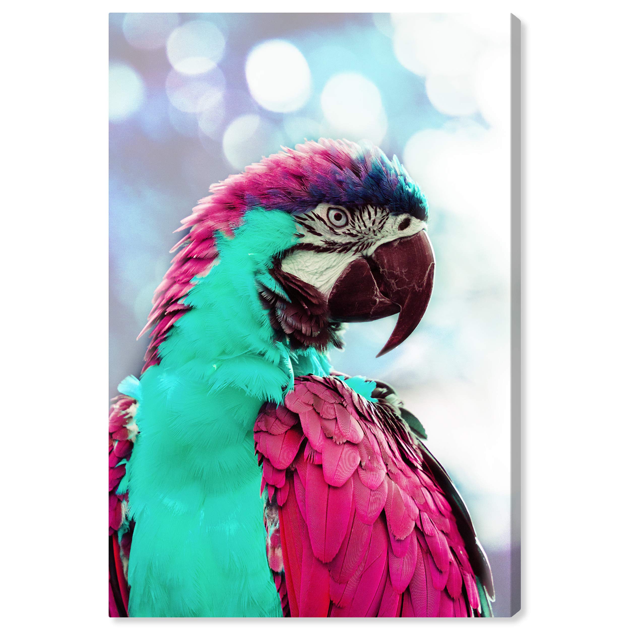 Amazon.com: The Oliver Gal Artist Co. Animals Wall Art Canvas