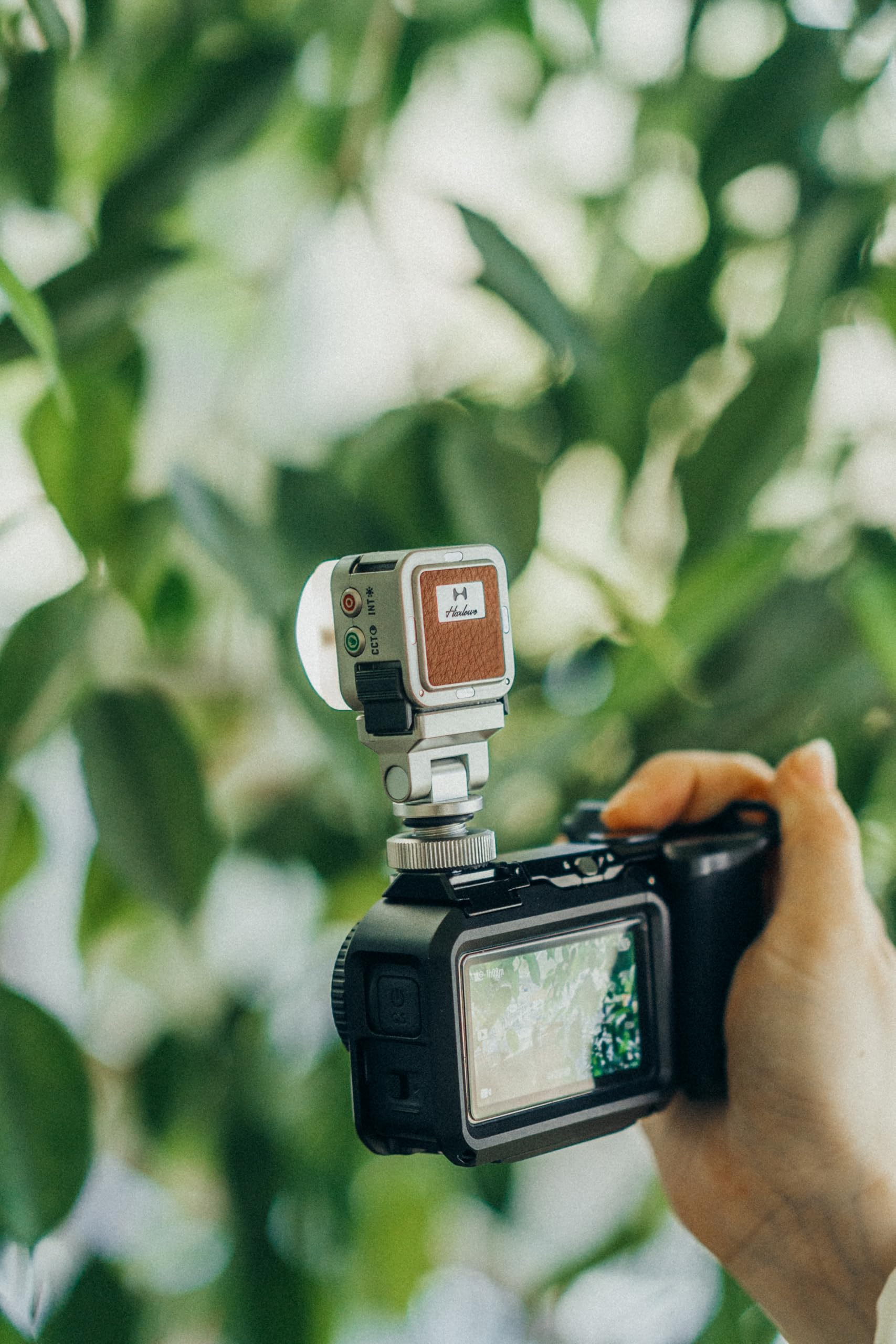 SMALLRIG Griff-Kit für DJI Osmo Action 6 mit Metallkäfig, Street Photography Griff, Auslöser, Kaltschuh, Handgelenkband, Objektivabdeckung, 1/4 Gewindeloch