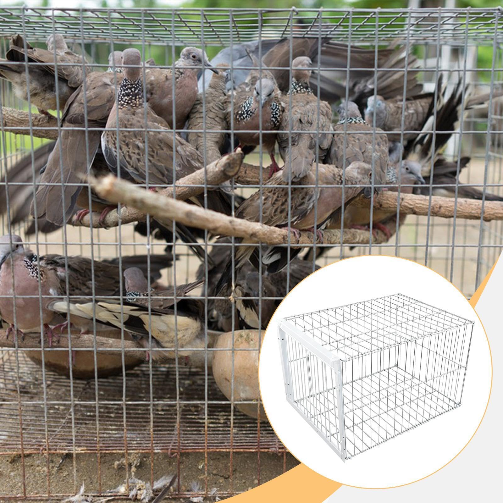 Fenteer Jaula para Pájaros Y Palomas, Jaula para Pollos, Colección Automática de Palomas de Metal, Jaula para Animales para Granjas de Balcones Andowns, Entrada de 1 vía