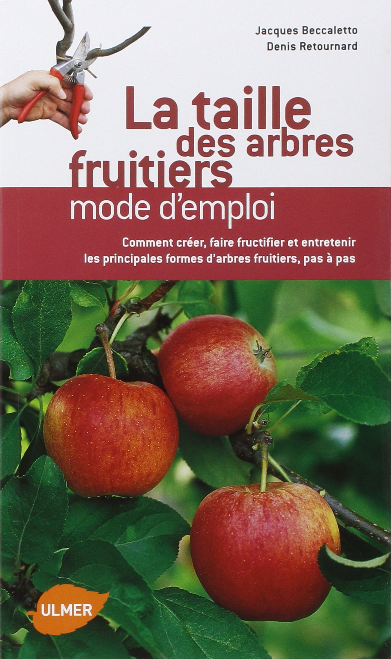 De La Taille à La Conduite Des Arbres Fruitiers Pdf De La Taille à La Conduite Des Arbres Fruitiers Lespinasse, Jean-marie,  Leterme, Evelyne, Leterme, Evelyne, Lespinasse, Jean-marie Livres |  hemogenomics.com