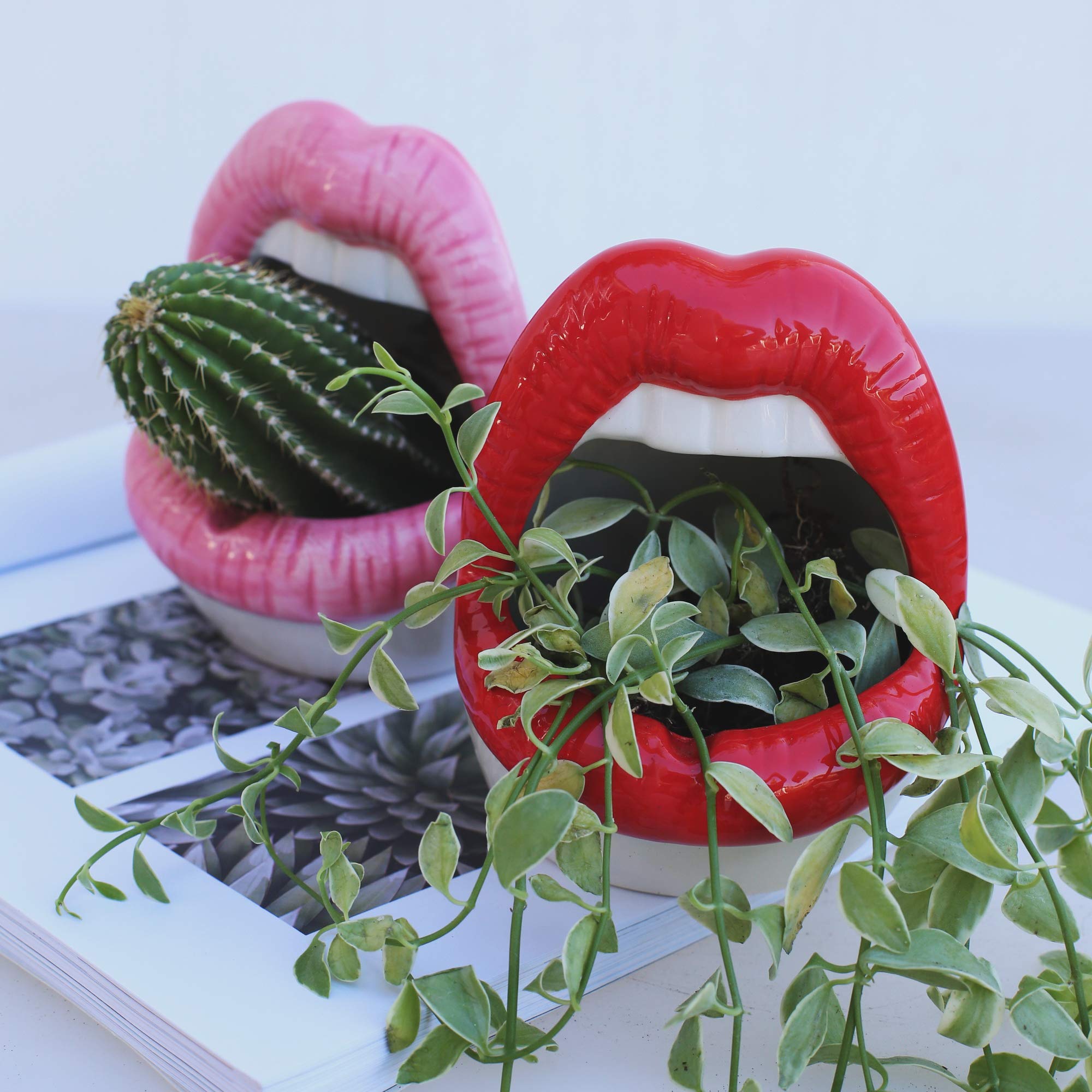 Maceta De Cerámica Para Cactus Y Suculentas, Con Diseño De Labios Grandes Ideal Para El Hogar Y La Oficina Color Rojo