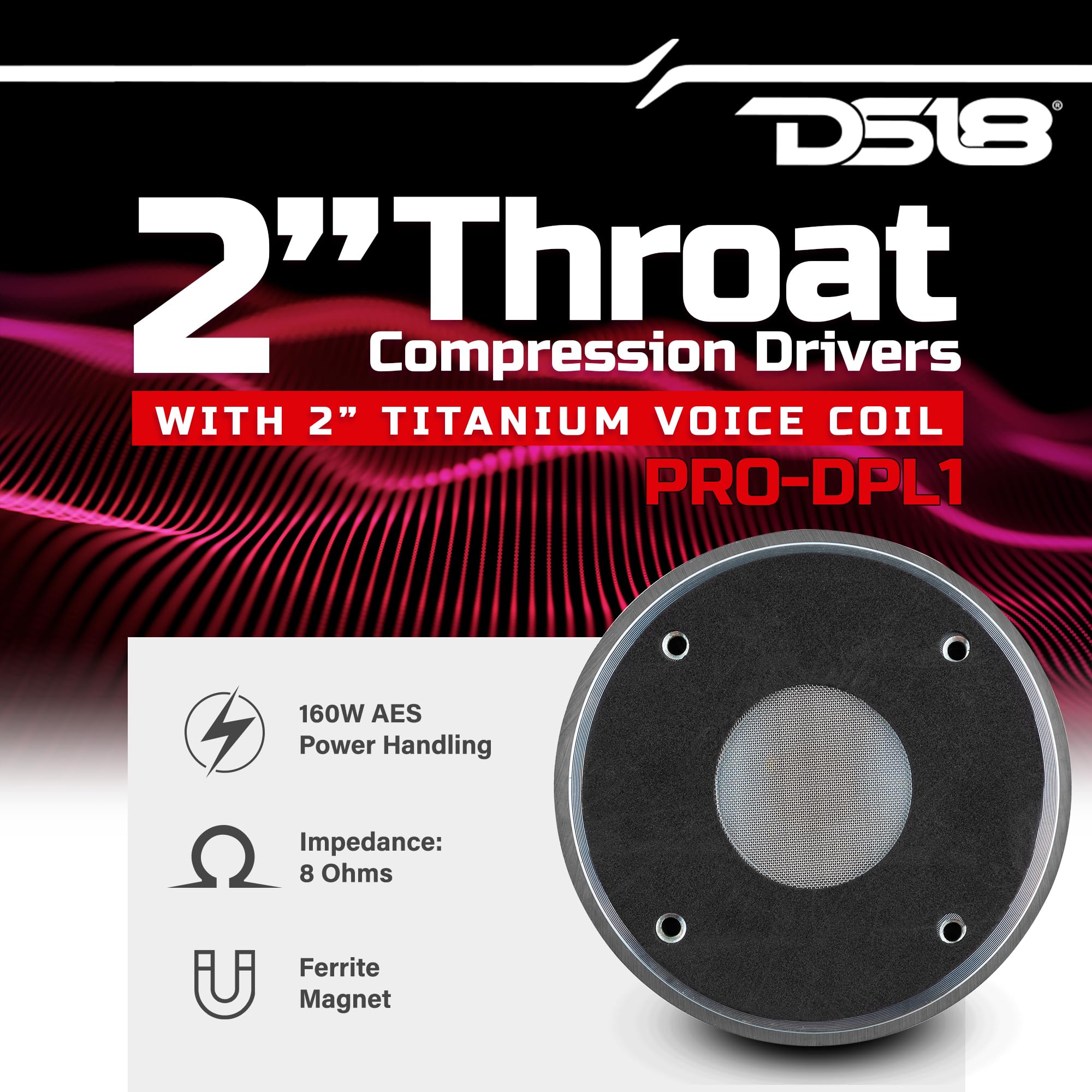 Amazon.com: DS18 PRO-DPL1 2