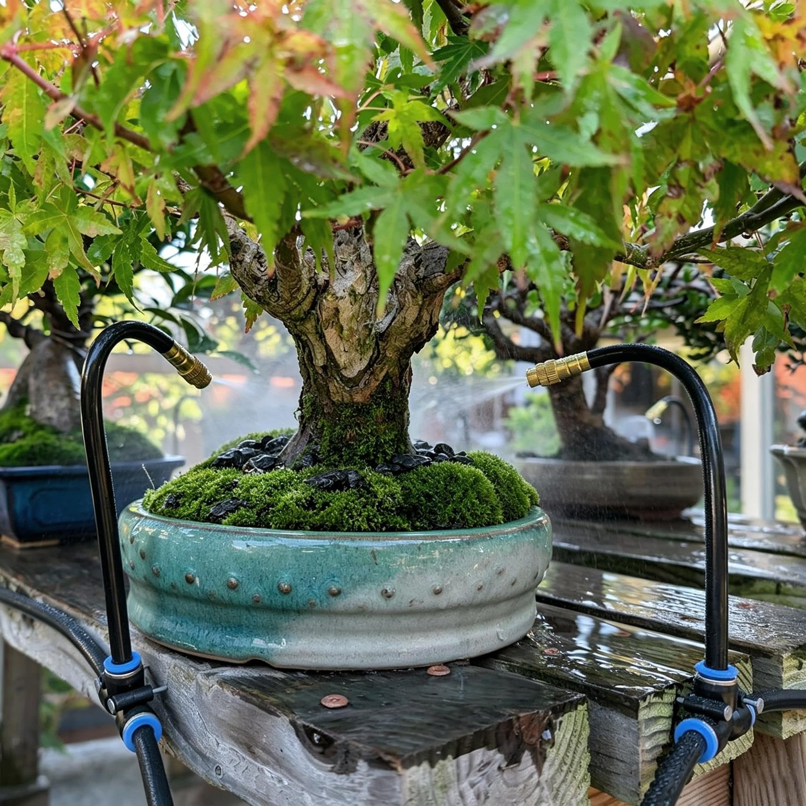 Brumisateur Exterieur Système D'irrigation Goutte-à-goutte pour Plantes