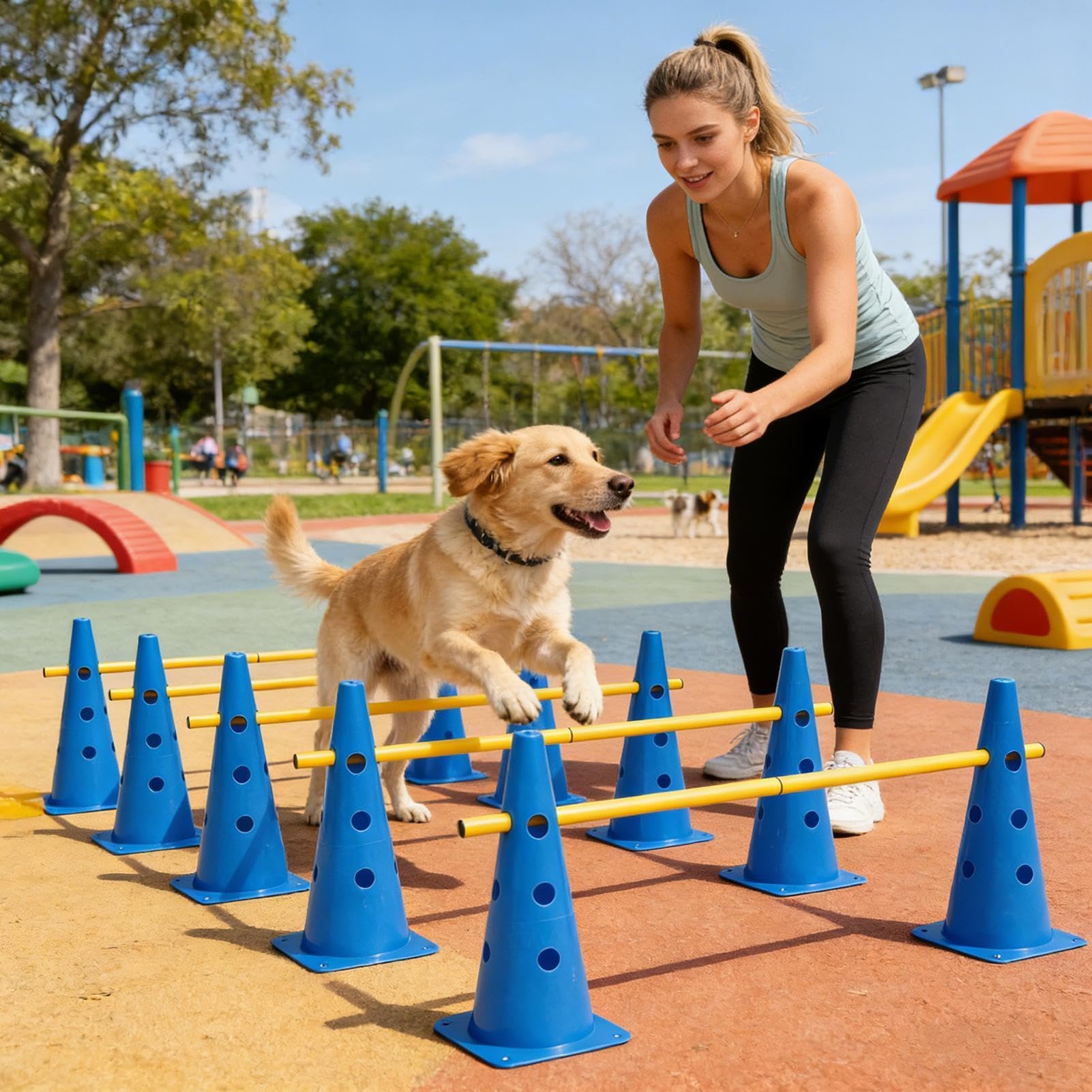 Attrezzatura per Agility per Cani Portatile e Regolabile in Altezza | Attrezzatura per Addestramento Cani con Pali Per Cuccioli, Interno, Esterno, Giardino, , Esercizio, Competizione,