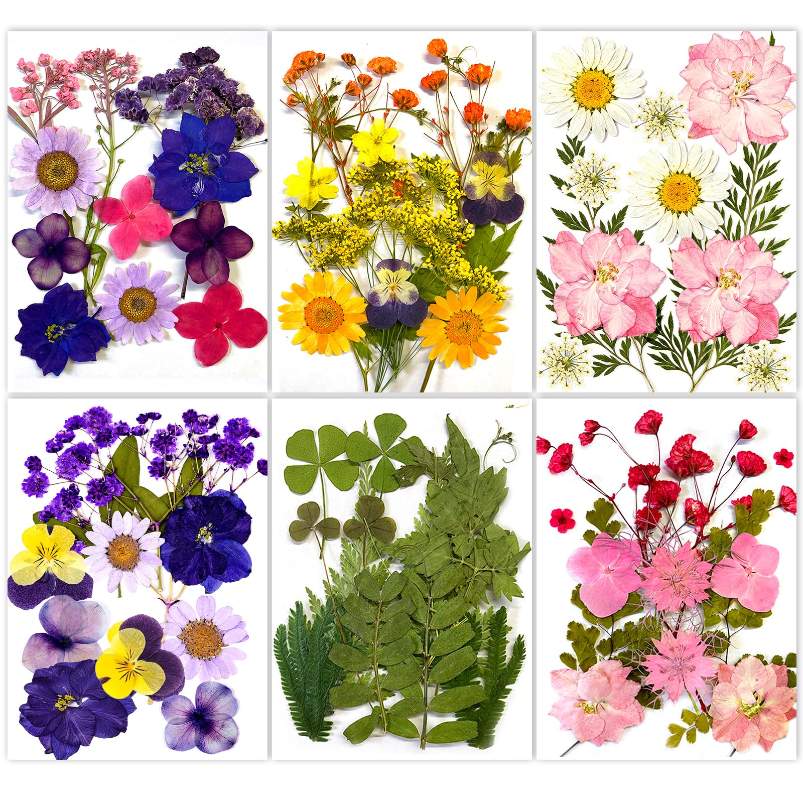 6 Packs Dried Pressed Flowers for Resin Crafts, Real Nature Dried Flowers and Leaves, Vacuum Sealed Dry Flowers for DIY Jewelry Candle Soap Vase Making Nail Card Scrapbook Art Craft Eternity Summer