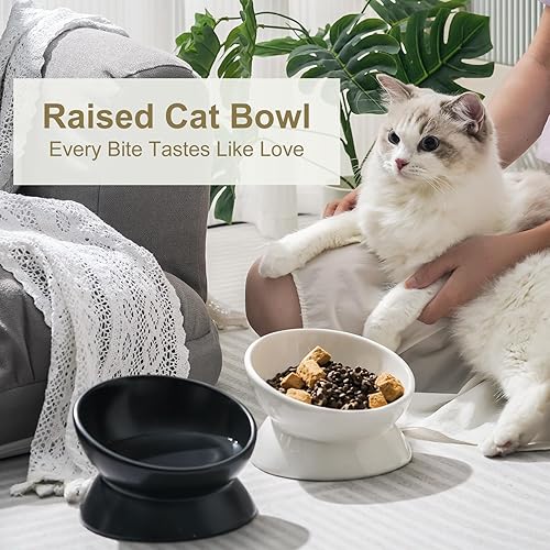 Miniatura 8 de YauYik Cuenco elevado inclinado para gatos  Cuenco elevado de cerámica para gatos y perros pequeños  Plato de 6 pulgadas sin estrés apto para