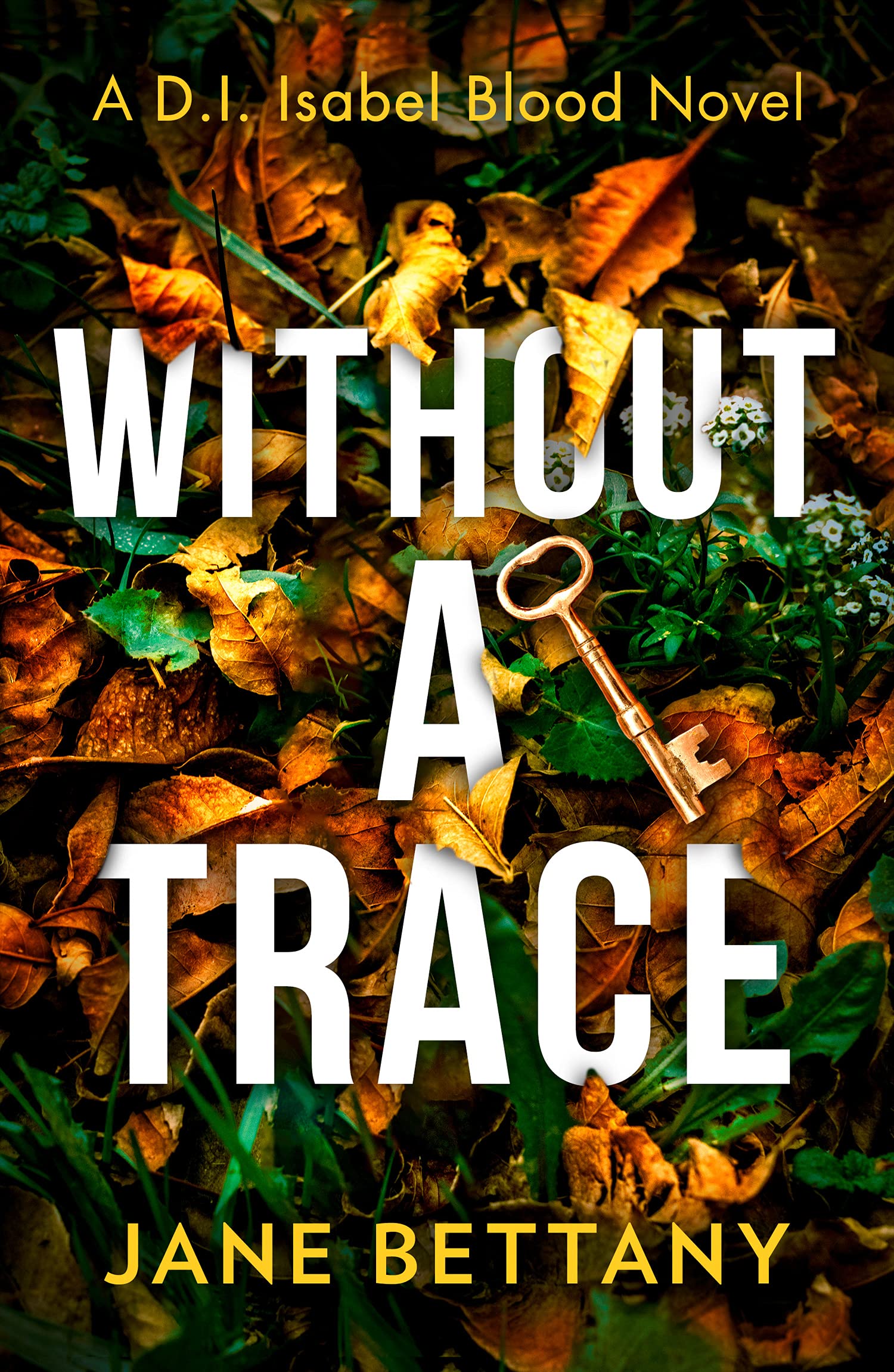 Without a Trace: An unputdownable murder mystery novel, perfect for all crime thriller fans!: Book 2 (Detective Isabel Blood)