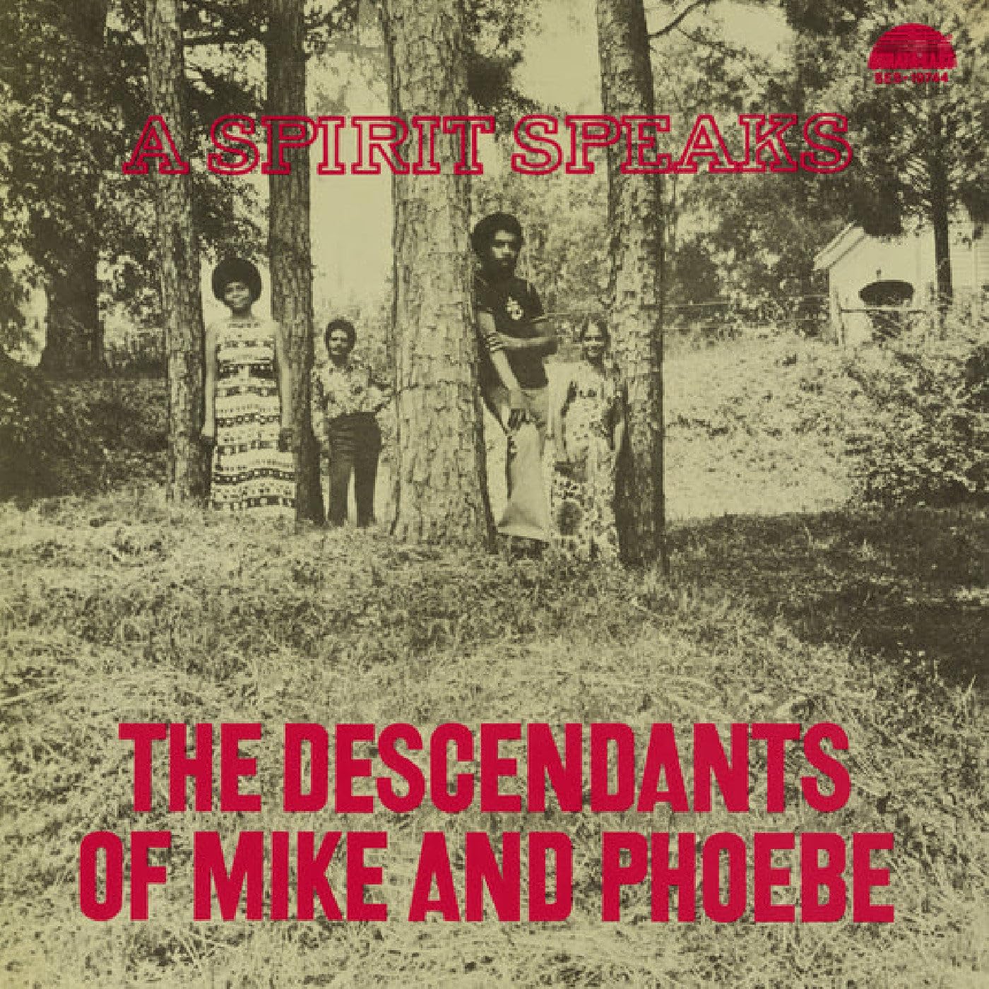 A Spirit Speaks [VINYL]