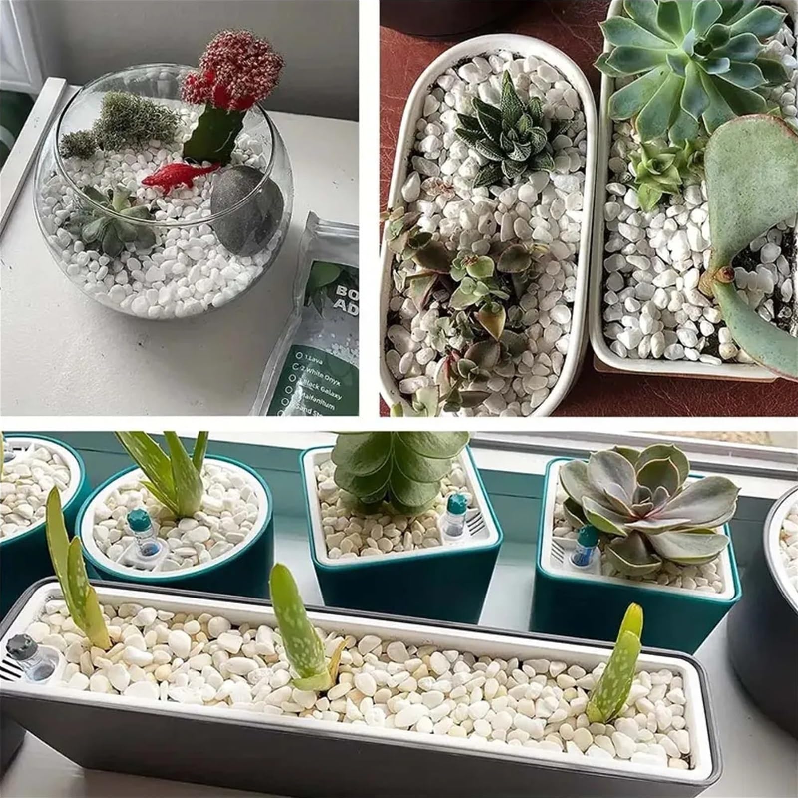 Pietre Decorative da Giardino Marmi di ciottoli 100/300G for Piante grasse Bonsai Acquario Vaso pianta Piccolo Giardino Domestico Decorazioni(White 300g)