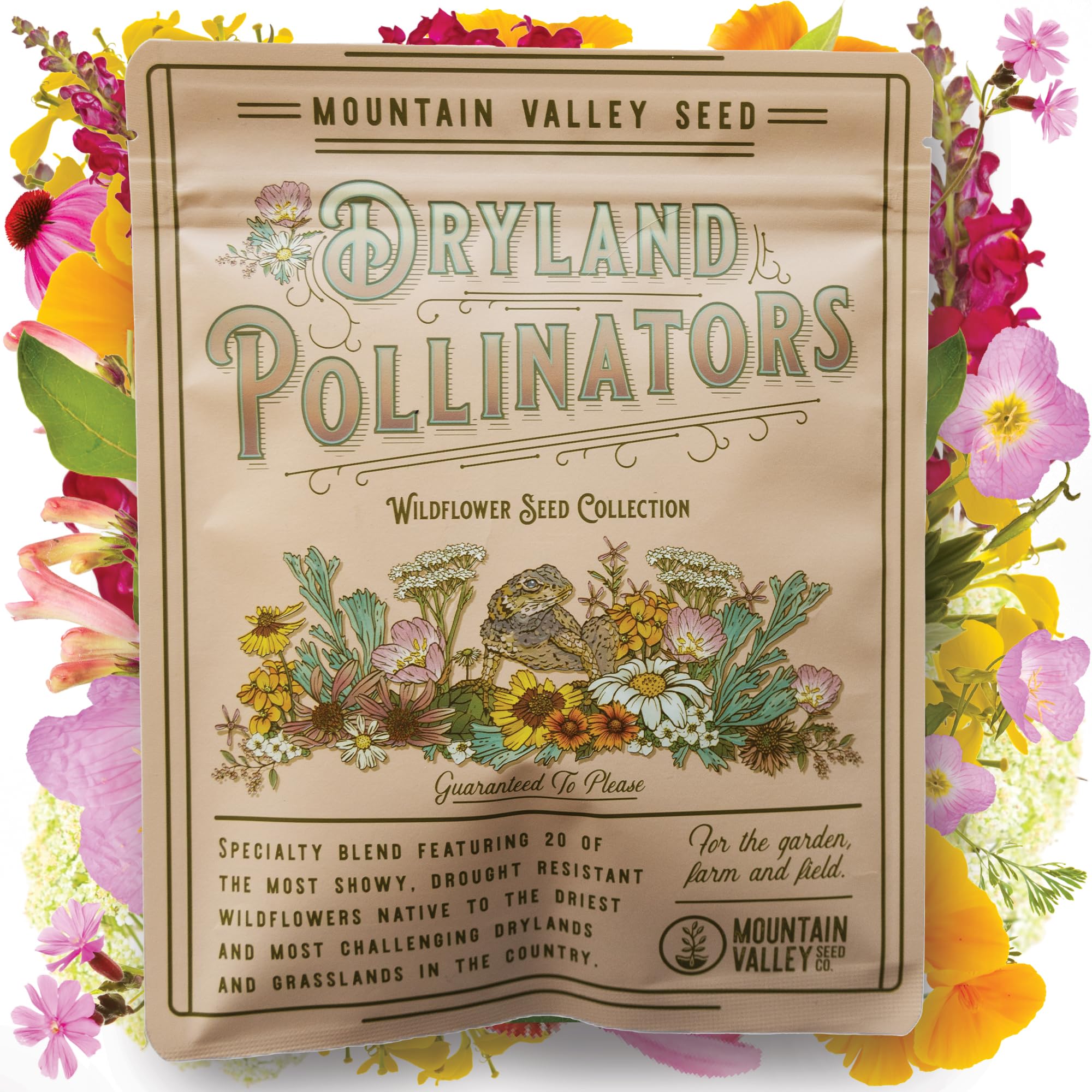 DECORTÉ Wildflower Wonderland 2x18g Amazon.com : Wildflower Seeds - Drought-Tolerant Mix, 2 oz (80,000