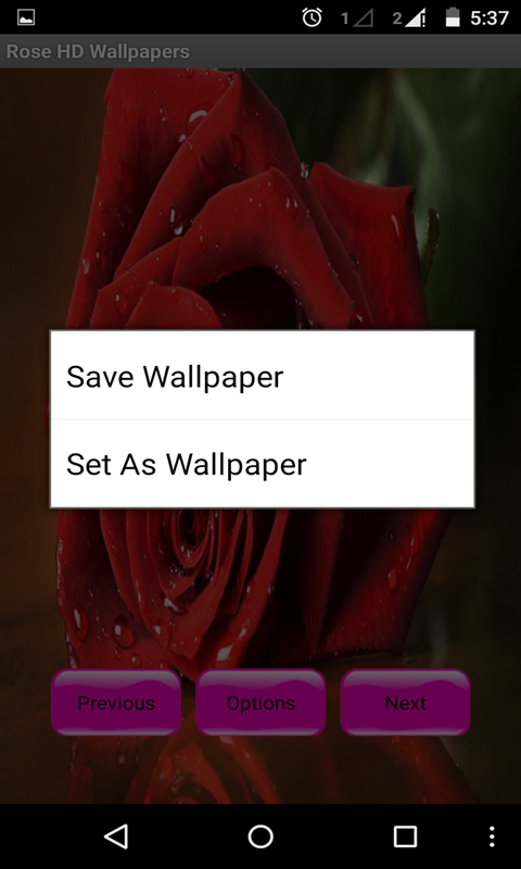 Rose HD Wallpaper - App on the Amazon Appstore